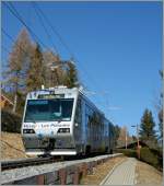 mvr-cev CEV 'Train des Etoiles' between Les Pleiades and Lally.
31.01.2011 