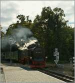 Rasender Roland The 99 1761-8 is arriving in Baabe. 
19.09.2010