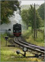 Rasender Roland The R�BB 99 4011-5 with his P 222 is arriving in Binz LB. 
16. 09.2010.