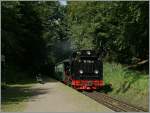 Rasender Roland The R�BB 99 1784-0 is coming from the dark wood to make a stop at the little Station Sellin West.
16.06.2010 