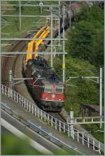 re-420-re-4-4-ii The Re 4/4 II 11266 and an other one with a Cargo train by Riaz. 02.08.2011

