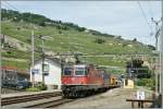 re-420-re-4-4-ii Two SBB Re 4/4 with a Cargo train in Rivaz-15.06.2011