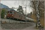 re-425-bls-re-4-4 Two BLS Re 4/4 wiht a Cargo-Train bei Villeneuve. 
03.03.2010