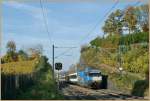 Re 460 SBB Re 460 020-1 with an IR by Burier. 
29.10.2010