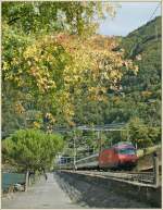 Re 460 SBB Re 460 090-4 with an IR to Brig by Villeneuve. 
04.10.2010