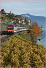 Re 460 Re 460 036-7 with an IR by St-Saphorin. 
04.11.2011