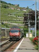 Re 460 SBB Re 460 117-5 in Rivaz. 
28.05.2011 