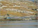 Re 460 Re 460 'id�e suisse' with an IR between St Saphorin and Rivaz. 
04.11.2010