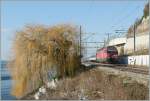 Re 460 SBB Re 460 074-8 by Rivaz. 
22.01.2011