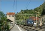 re-465-bls BLS Re465 005-7 with Special Summer Weekend Train in Ausserberg. 
20.08.2011