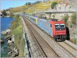 SBB CIS Re 484 ...  Stefan Wohlfahrt 28.12.2010