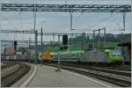 BLS Re 485 004-6 with a Rola in Spiez. 
9.06.2011 ...