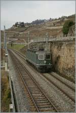 re-620-re-6-6 One of the last green Re 6/6 by Rivaz. 
20.01.2011