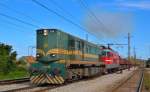 Diesel loc 644-018 and electro loc 342 are hauling freight train through Pragersko on the way to the south. /28.9.2012