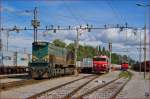 Diesel loc 664-106 with container train from Hodo is arriving at Pragersko station. /13.9.2013