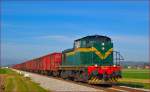 Diesel loc 643-041 pull freight train near Podvinci on the way to Hodo.
