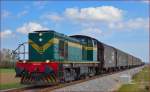 Diesel loc 643-041 pull freight train near Podvinci on the way to Pragersko.
