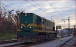 Diesel loc 644-025 is running through Maribor-Tabor on the way to Studenci station. /10.12.2013