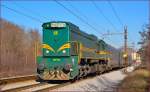 Diesel loc 664-102 is hauling MV247 'Citadella' through Maribor-Tabor on the way to Budapest. /13.1.2014