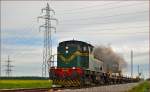 Diesel loc 643-043 pull freight train through Cirkovce on the way to Pragersko. /9.5.2014