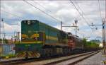 Diesel loc 644-018 pull freight train through Maribor-Tabor on the way to Tezno yard. /31.5.2014