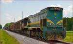 Diesel loc 664-115 pull freight train through Cirkovce-Polje on the way to Koper port. /3.6.2014