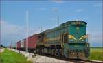 Diesel loc 664-101 pull container train through Cirkovce-Polje on the way to Hodoš. /29.7.2014