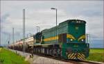 Diesel loc 664-107 pull freight train through Cirkovce-Polje on the way to Hodoš. /5.8.2014
