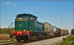 Diesel loc 642-184 pull freight train through Cirkovce-Polje on the way to Pragersko. /10.10.2014