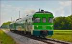 Multiple units 711-016 are running through Cirkovce-Polje on the way to Maribor. /3.6.2014