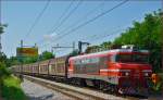 Electric loc 363-026 pull freight train through Maribor-Tabor on the way to the north. /18.7.2014