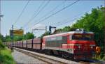 Electric loc 363-019 pull freight train through Maribor-Tabor on the way to the north. /18.7.2014