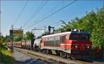 Electric loc 363-009 pull freight train through Maribor-Tabor on the way to the north. /3.10.2014