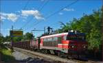 Electric loc 363-009 pull freight train through Maribor-Tabor on the way to the north. /23.9.2014