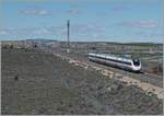 The RENFE Aliva Serie 120 is the Aliva Service  533 from San Sebastian to Barceolona; this trein runs here with high speed trough the landscape by Bujaraloz (Spain). 

18.04.2024