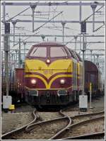1818 and 1806 are ...  De Rond Hans und Jeanny 06.03.2012