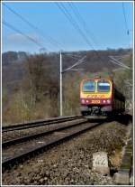 Z 2013 ...  De Rond Hans und Jeanny 17.03.2012