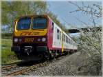 Serie 2000 Z 2017 pictured in Ingeldorf on its way from Diekirch to Ettelbr�ck on April 25th, 2010.