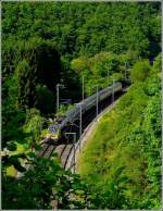 The IR 119 Liers - Luxembourg City will soon arrive ...