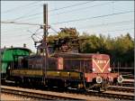 Serie 3600 3608 pictured in P�tange on September 19th, 2004.