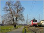 Serie 4000 4008 photographed near Rollingen/Mersch on December 28th, 2008.