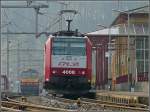 4008 and Z 2014 ...  De Rond Hans und Jeanny 28.02.2010