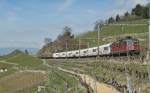 SBB Re 4/4 II 11242 with a Cargo train in the vineyards by Grandvaux.
01.04.2011