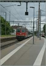 The SBB Re 4/4 II 11114 with an IR Brig - Geneva in Allaman.
12.06.2012