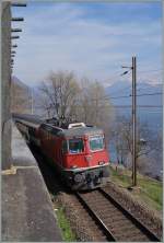 The SBB Re 4/4 II 11139 wiht his IR 2169 from Basel to Locaro by Muralto. 
18.03.2014 