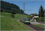 The BLS Re 4/4 II 502 with a GoldenPass RE in Faulensee.