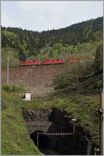 Thesame SBB Re 4/4 with a Cargo Train between Faido and Rodi Fieso. 
06.05.2014
