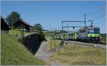 A BLS Re 4/4 II wiht an RE from Interlaken to Zweisimmen wiht a Link to Montreux by Spiez. 
14.08.2016