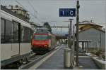 The SBB Re 460 031-8 take in Locarno the IR 2218 to Zrich Main Station.