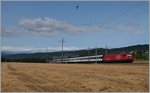 Summer on the Lausanne - Geneve line: A Re 460 wit an IR near Perroy.
08.07.2015